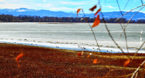 barr lake, brighton, colorado - beauty in nature blue brown colorado imagens e fotografias de stock