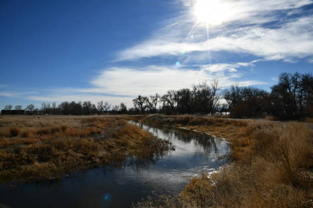 barr lake, brighton, colorado - beauty in nature blue brown colorado imagens e fotografias de stock