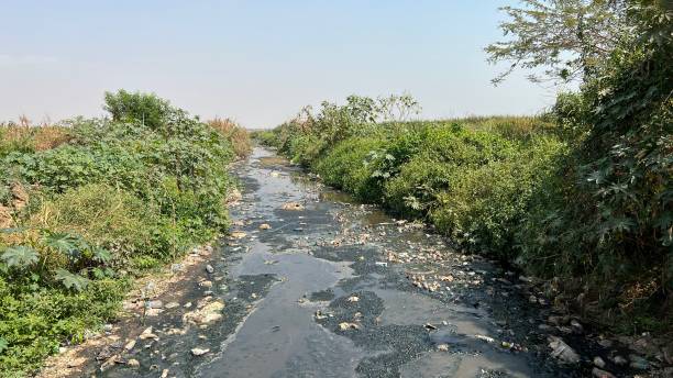istock River with wastewater and natural bush 1364516581