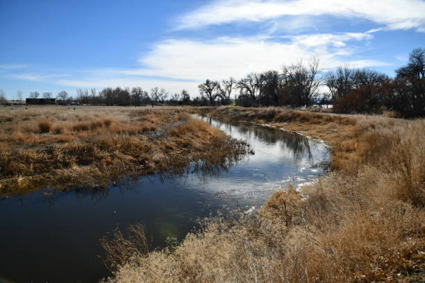 istock Barr Lake, Brighton, Colorado 1364516582