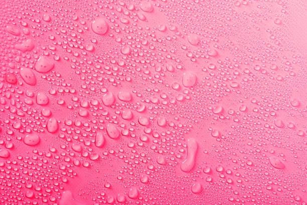 istock Water drops on pink background. Transparent water droplets from spray 1364525125