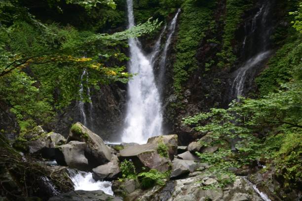 bellissima cascata in una foresta verde - water beauty in nature waterfall nikko foto e immagini stock