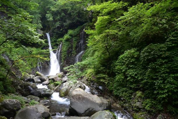 bellissima cascata in una foresta verde - water beauty in nature waterfall nikko foto e immagini stock