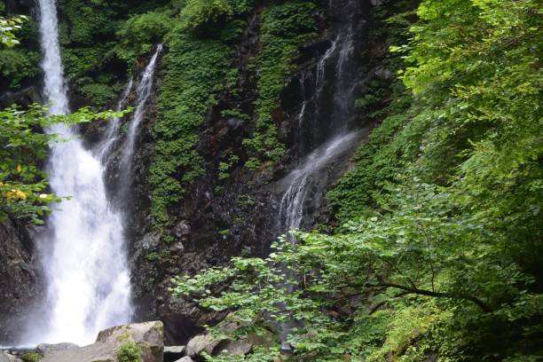 istock Beautiful waterfall in a green forest 1364525227