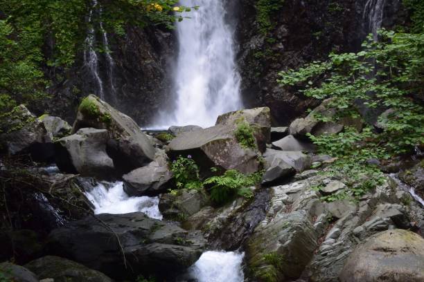 緑の森の美しい滝 - water beauty in nature waterfall nikko ストックフォトと画像