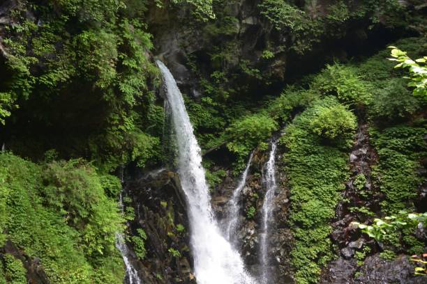 bellissima cascata in una foresta verde - water beauty in nature waterfall nikko foto e immagini stock