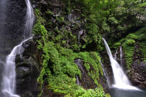 istock Beautiful waterfall in a green forest 1364525234