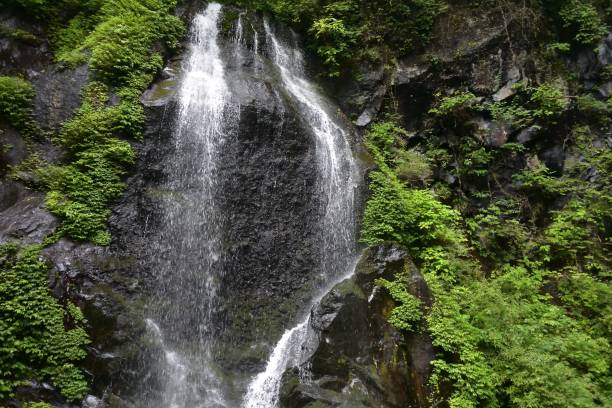 bellissima cascata in una foresta verde - water beauty in nature waterfall nikko foto e immagini stock