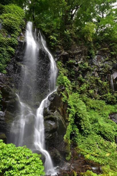 bellissima cascata in una foresta verde - water beauty in nature waterfall nikko foto e immagini stock