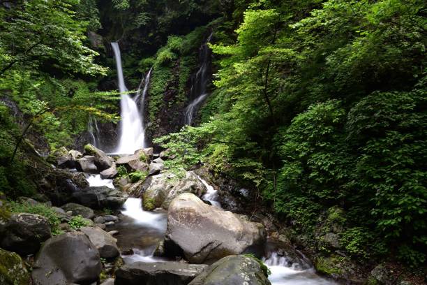 bellissima cascata in una foresta verde - water beauty in nature waterfall nikko foto e immagini stock