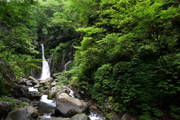 bellissima cascata in una foresta verde - water beauty in nature waterfall nikko foto e immagini stock