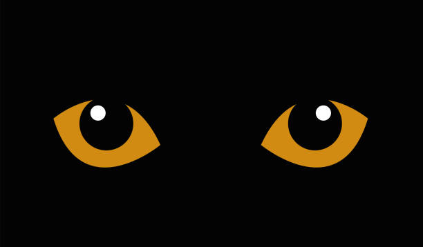 yellow cat eyes in the dark. - hayvan gözü stock illustrations