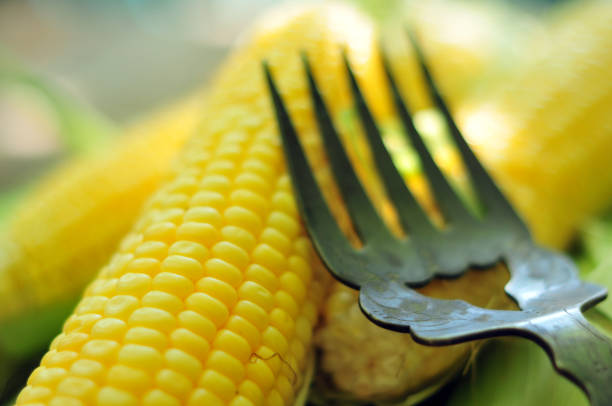 kukurydza - corn on the cobb zdjęcia i obrazy z banku zdjęć