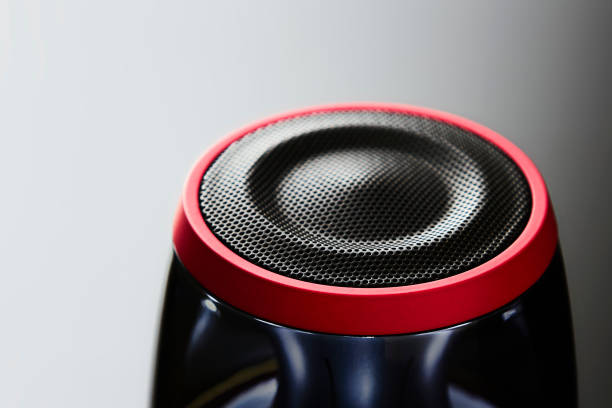 Speaker detail isolated on white background.