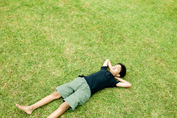 istock high angle view little boy lying on grass in nature 1364537742