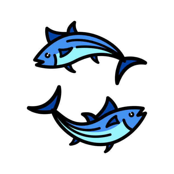 tuna line icon vector Skipjack tuna line icon vector. Tuna fish sign in trendy style. Isolated contour symbol black illustration. skipjack stock illustrations