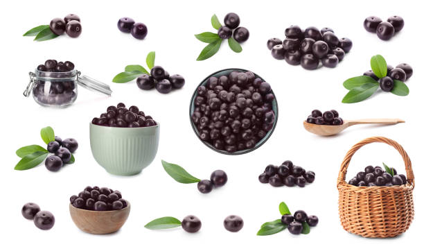 conjunto de frutos frescos de açaí em fundo branco - açaí - fotografias e filmes do acervo