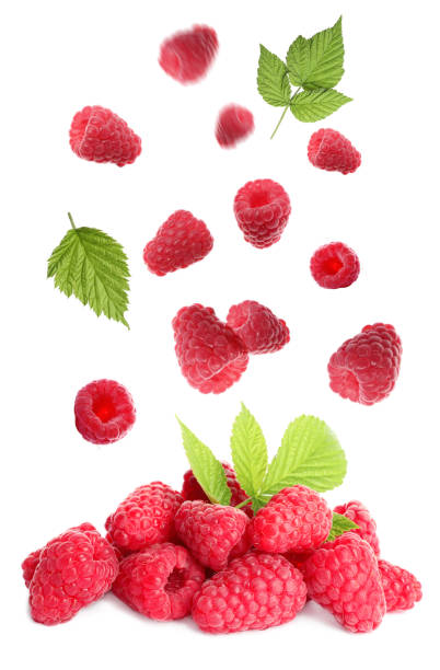 istock Fresh ripe raspberries with green leaves falling on white background 1364541818
