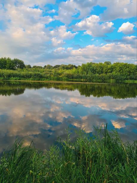 istock Reflection in the water of the blue sky 1364545856