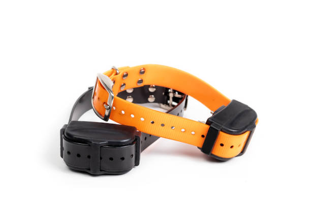 Dog shock or bark collar set. Large orange and black remote training collar for dogs. Device used for obedience training, recall or to reduce or stop barking. Selective focus. Isolated on white. collar stock pictures, royalty-free photos & images