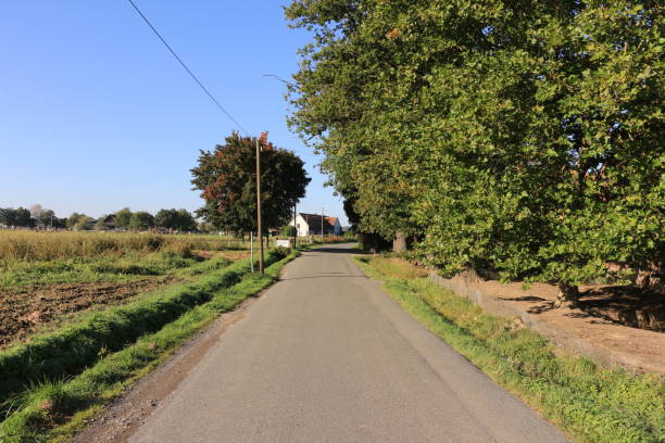 istock Sunny autumn day in Iserlohn 1364549240