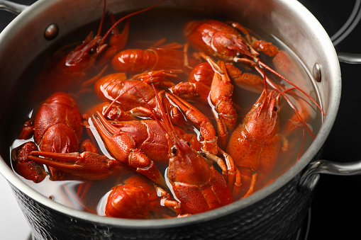 Fresh delicious crayfishes in pot, closeup view