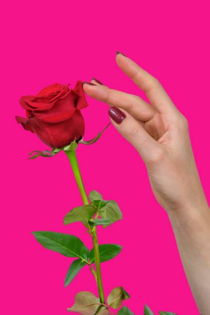 istock Touch of love 1364552685