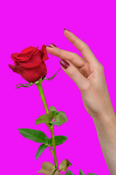 istock Touch of love 1364552706