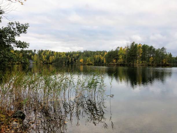 istock Idyllic still water Autumn lake landscape 1364553878