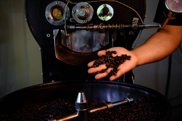 fresh coffee beans - chicchi di caffè 100% qualità arabica tostati che cadono in una macchina frigorifera professionale rotante. presso l'industria comunitaria chiang rai tailandia - roasted machine bean mixing foto e immagini stock
