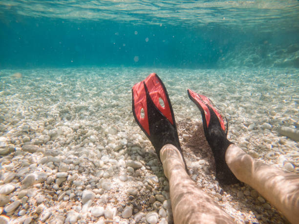 istock man legs in flippers underwater 1364556425