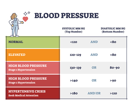 Blood pressure with systolic and diastolic number chart outline diagram. Labeled educational scheme with heart beats MM HG numbers or patient diagnosis after cardiology measurement vector illustration