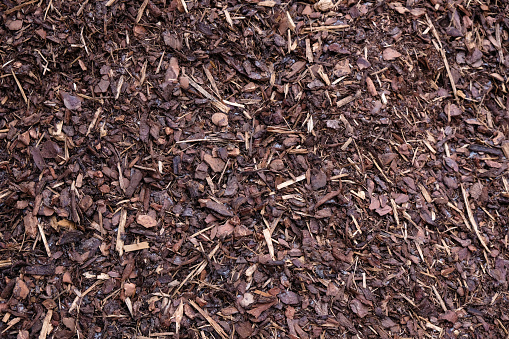 Mulch wood bark material background. Outdoors.