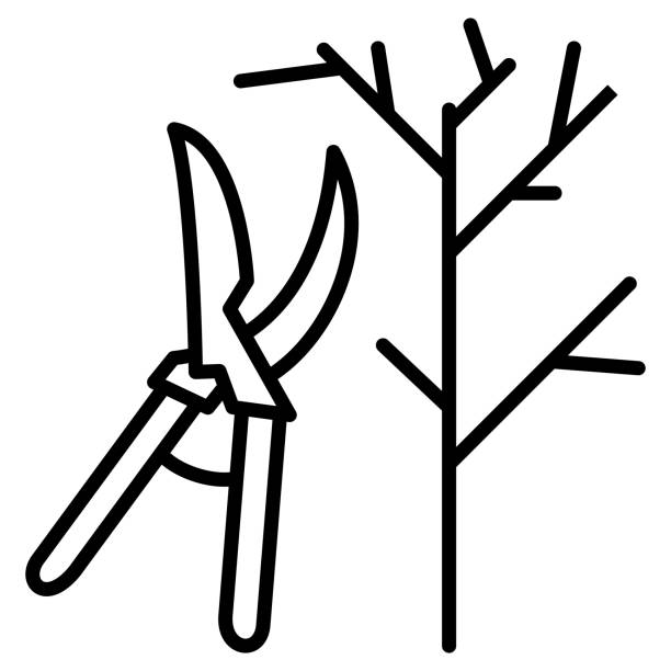 Topiary, pruning of trees, sanitation in the garden. Garden scissors, pruning shears, a tree without leaves. Gardening, agronomy. Vector icon, outline, isolated Topiary, pruning of trees, sanitation in the garden. Garden scissors, pruning shears, a tree without leaves. Gardening, agronomy. Vector icon, outline, isolated branch trimmers stock illustrations