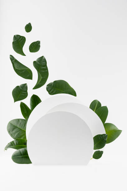 istock Spring fresh tropical abstract stage mockup for presentation cosmetic product, goods, design, advertising with white circles as podium with swirl of green leaves flying in air, vertical, copy space. 1364564627
