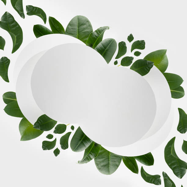 Fresh summer abstract background with white circles with flows of fly tropical green leaves, blank frame for branding, design of logo, text, advertising, natural eco style, square.