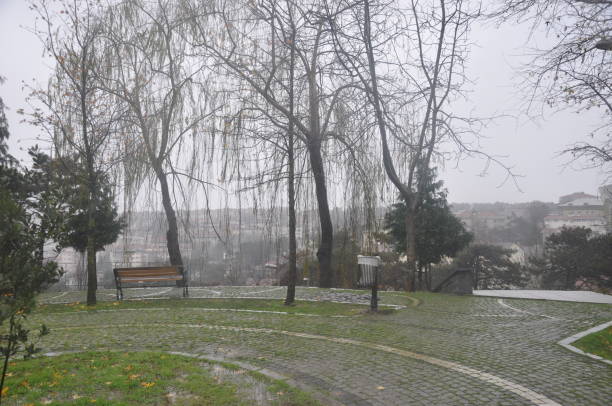 istock A view of park 1364564906