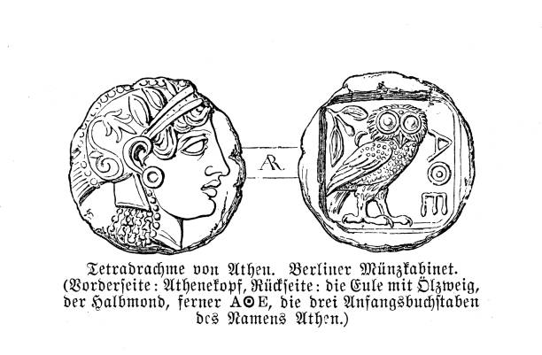 Tetradrachm Ancient Greek silver coin with the head of Greek goddess Athena and her symbol the owl Tetradrachm Ancient Greek silver coin with the head of Greek goddess Athena and her symbol the owl ancient coins of greece stock illustrations