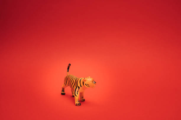 istock Tiger in a box.Chinese new year 2022 on red background. Copy space. 1364570787