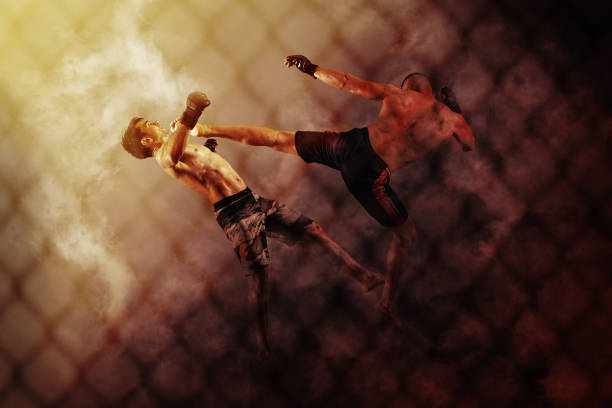 istock MMA boxers fighters fight in fights without rules 1364571509