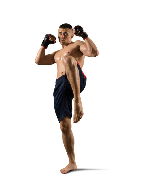 luchador masculino de mma aislado - muscular build fotografías e imágenes de stock