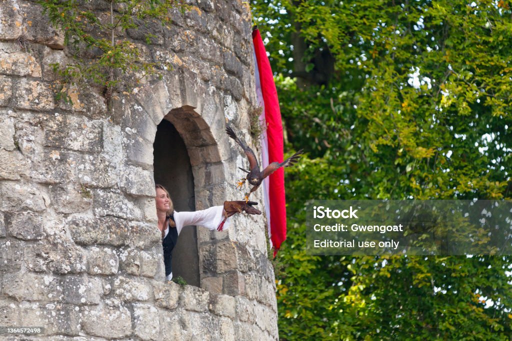Medieval falconer up in a donjon with her falcon Luzarches, France - October 12 2019: Falconer up in a donjon with her falcon during the annual 'Médiévales' festival. In autumn, in many medieval towns in France, festivals are held where people can disguise in knights, monks, farmers... of the medieval period. Falconry Stock Photo