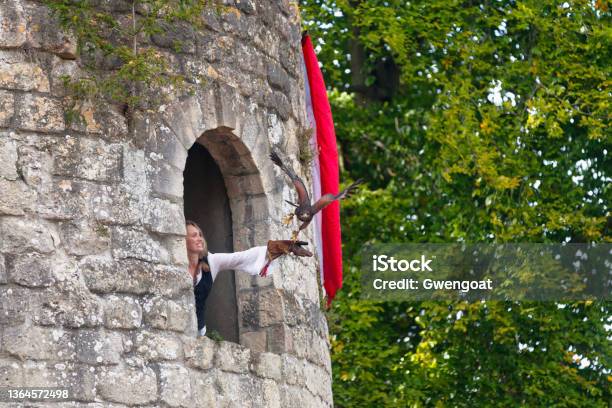 Medieval Falconer Up In A Donjon With Her Falcon Stock Photo - Download Image Now - Falconry, Keep - Fortified Tower, Adult