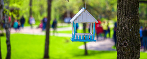 kleines vogelhaus im park an einem warmen, sonnigen tag.  konzept der annäherung an frühling, sommer, ankunft der vögel, frühlingsstimmung. tierschutz. - birdhouse animal nest house residential structure stock-fotos und bilder