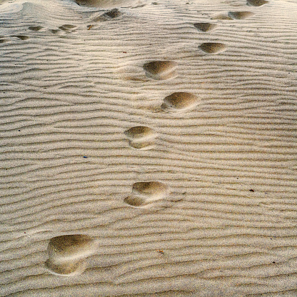 Footprint on a sandy beach, Semporna, Sabah, Malaysia.