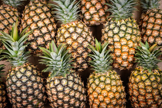 ananas goûté et frais en arrière-plan - ananas photos et images de collection