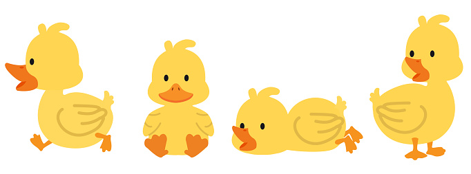✓ Imagen de Lindos pollos bebé en diferentes poses para el diseño de Pascua. Pequeñas chicas amarillas de dibujos animados. Ilustración vectorial aislada sobre fondo blanco Fotografía de Stock ✓ Imagen de Lindos pollos bebé en diferentes poses para el diseño de Pascua. Pequeñas chicas amarillas de dibujos animados. Ilustración vectorial aislada sobre fondo blanco Fotografía de Stock