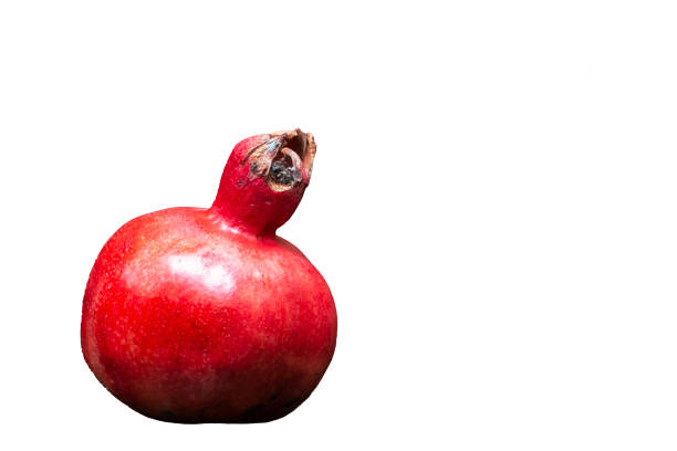 istock Whole pomegranate on white background. Space for text. Fresh raw fruit isolated on white background. 1364577563