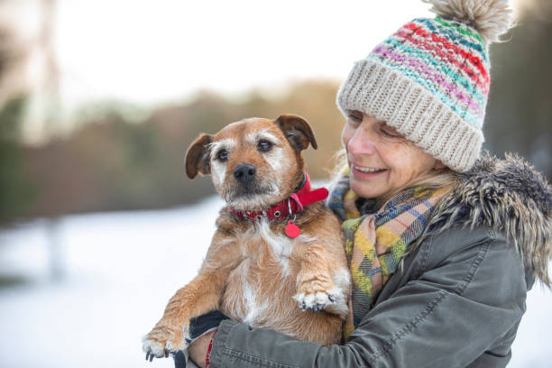 istock The Greatest Companion 1364579808