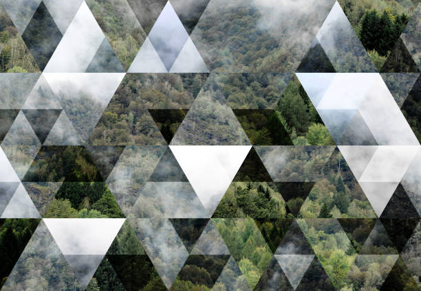 istock Abstract geometric background: Foggy mountain forest 1364580030